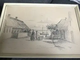 Kultegning lavet af Steenholt fra 1955
