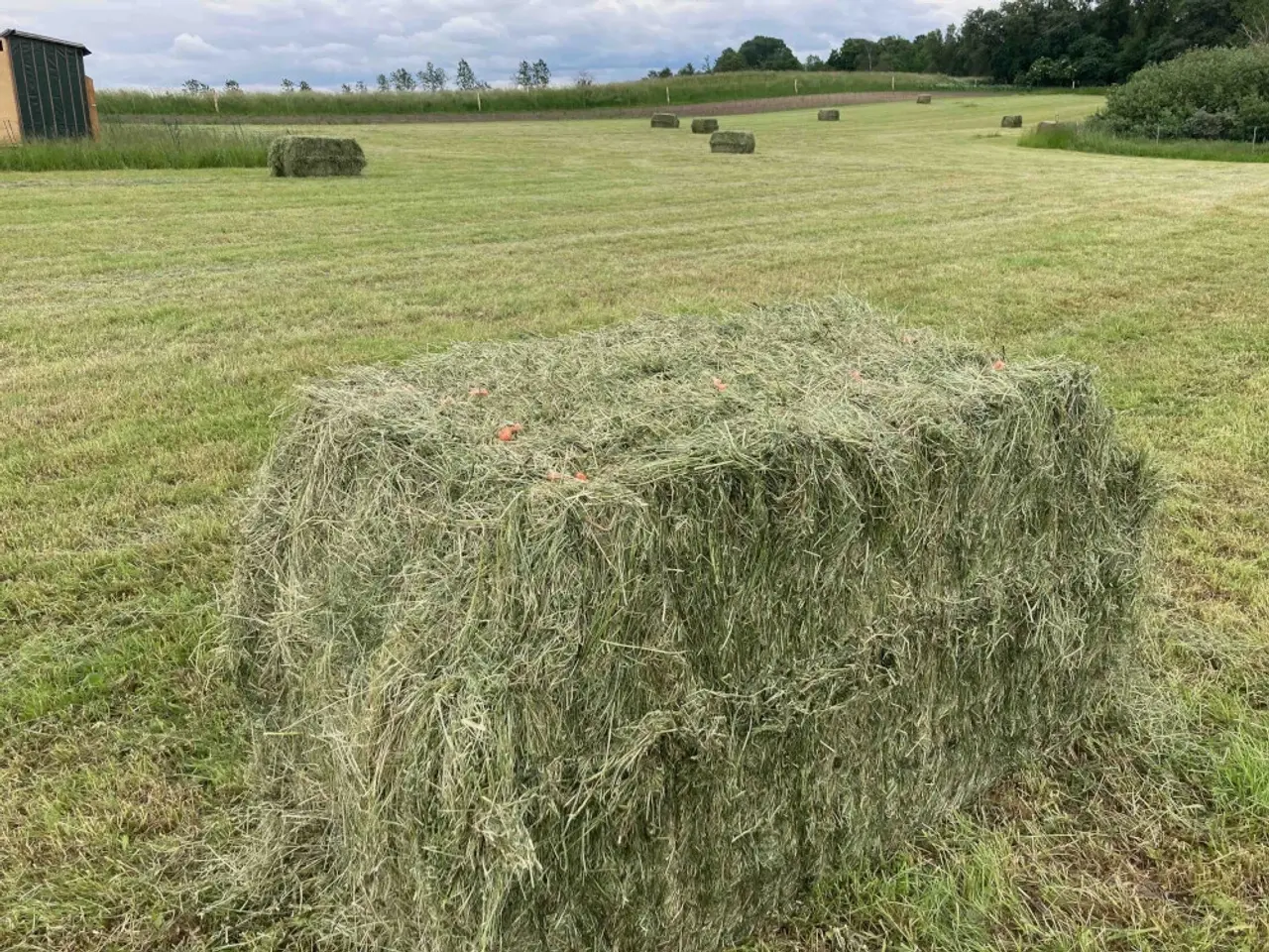 Billede 2 - Øko wraphø i lange Minibig (160 cm)