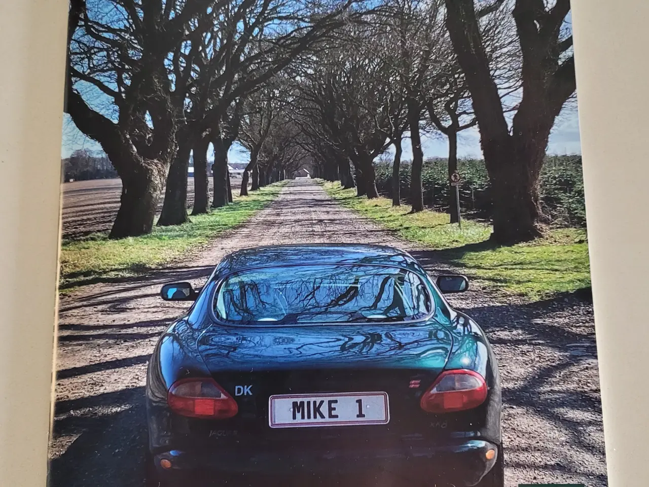 Billede 16 - Jaguar XK8 Coupé V8
