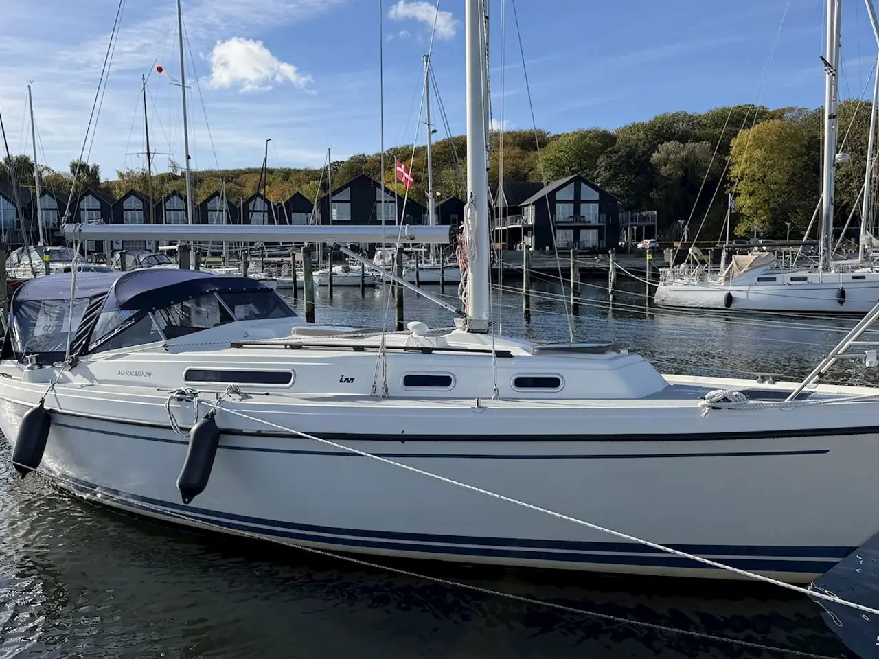 Billede 1 - LM Mermaid 290