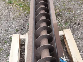 6 meter kornsnegl