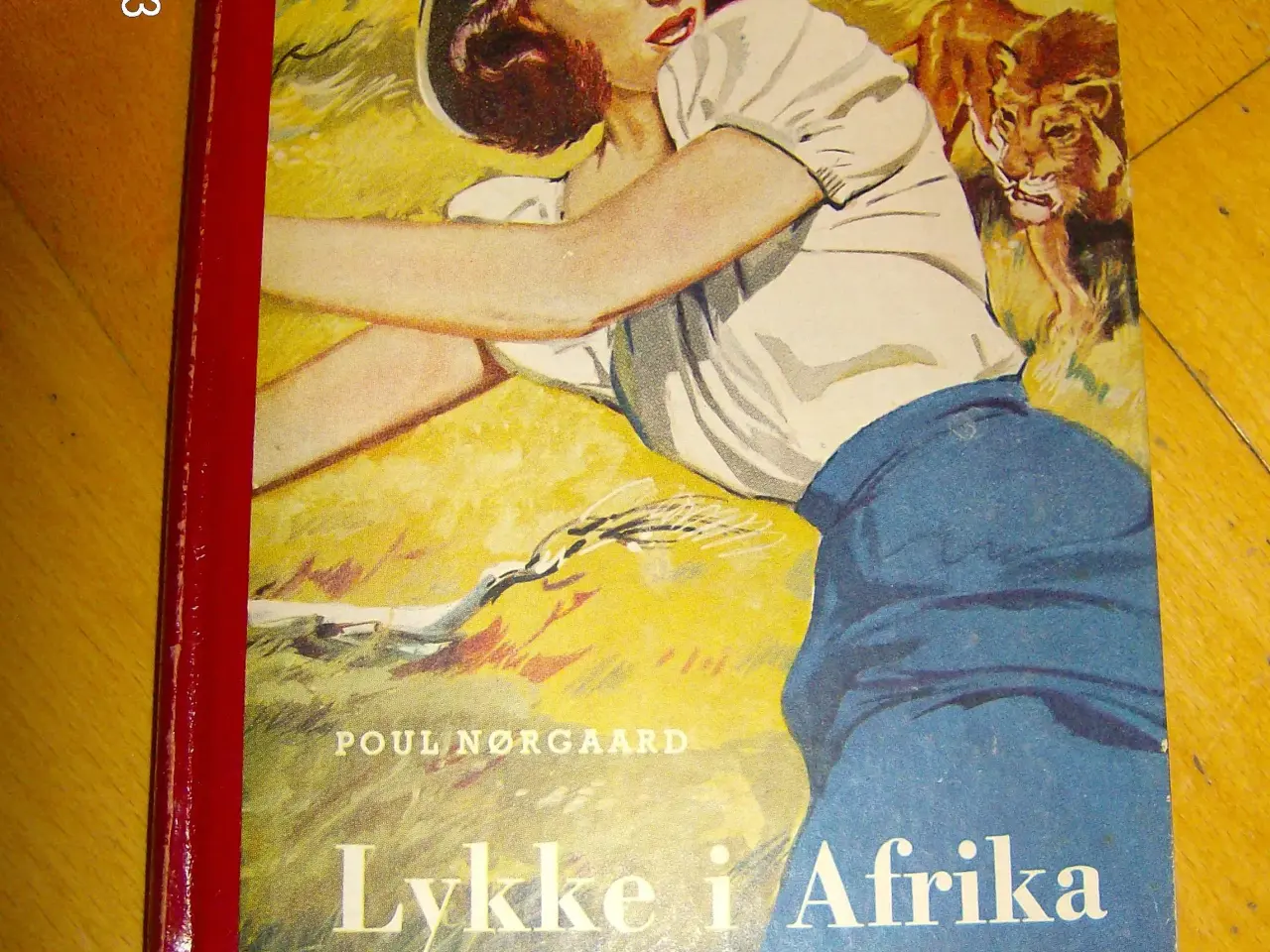 Billede 1 - Lykke i Afrika