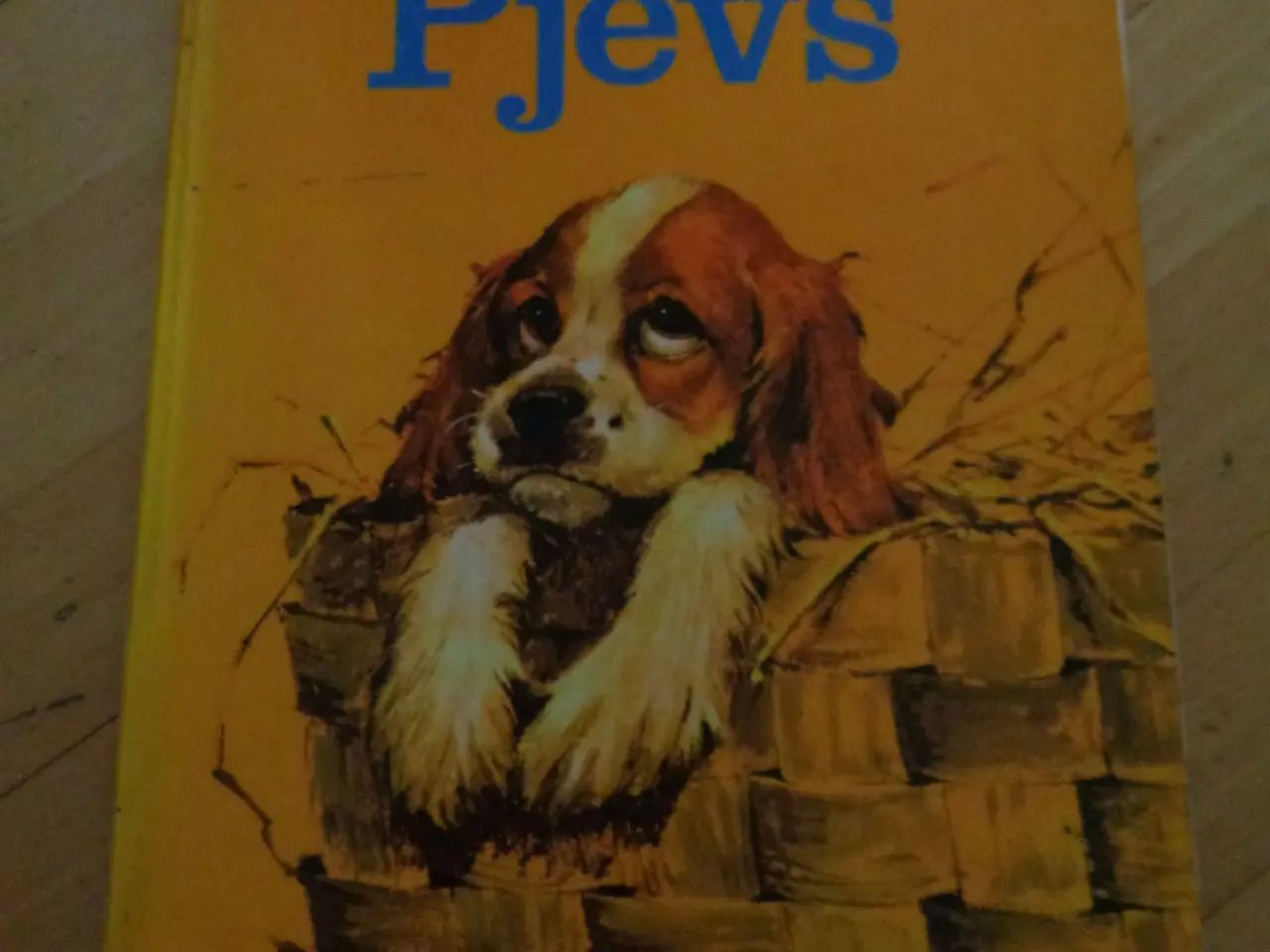 Billede 1 - Pjevs