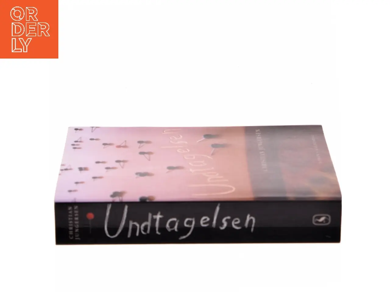 Billede 2 - Undtagelsen af Christian Jungersen (Bog)