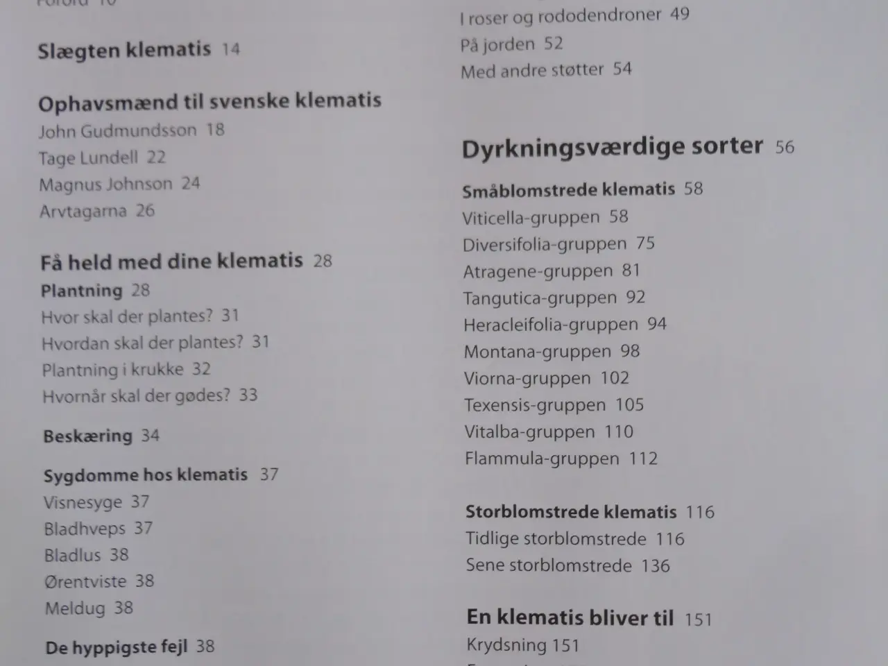 Billede 6 - Clematis - Klematis :