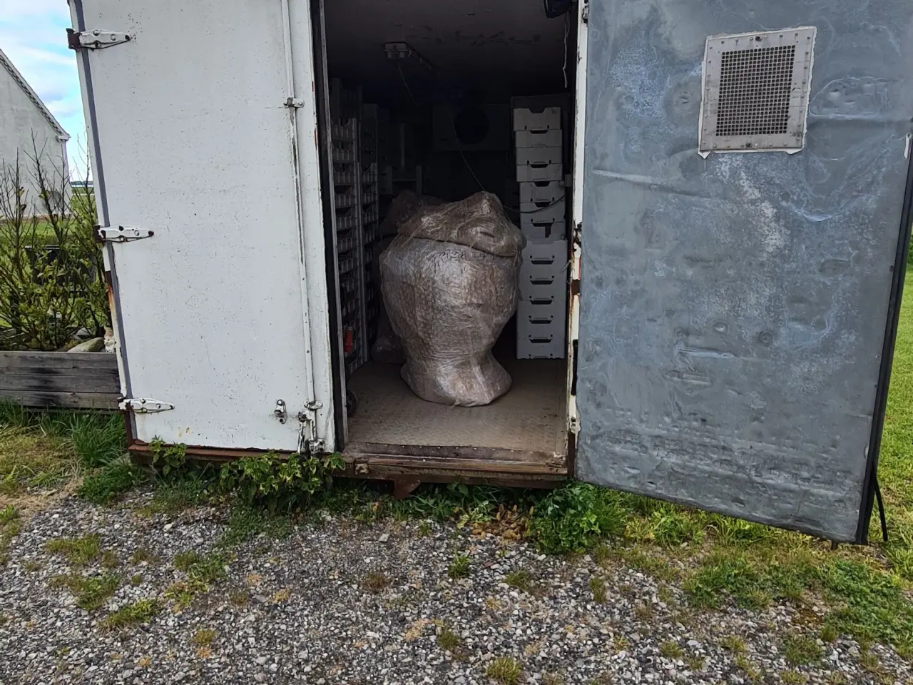 Billede 8 - Kølecontainer