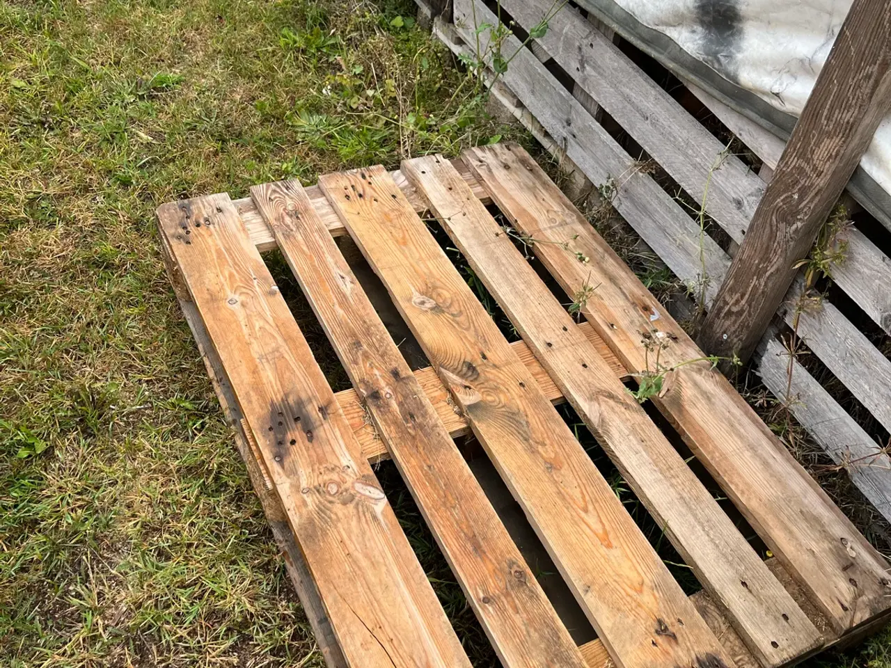 Billede 1 - Erro paller sælges