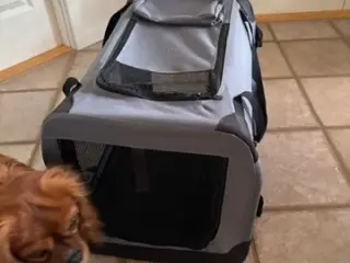 Hunde Transporttaske