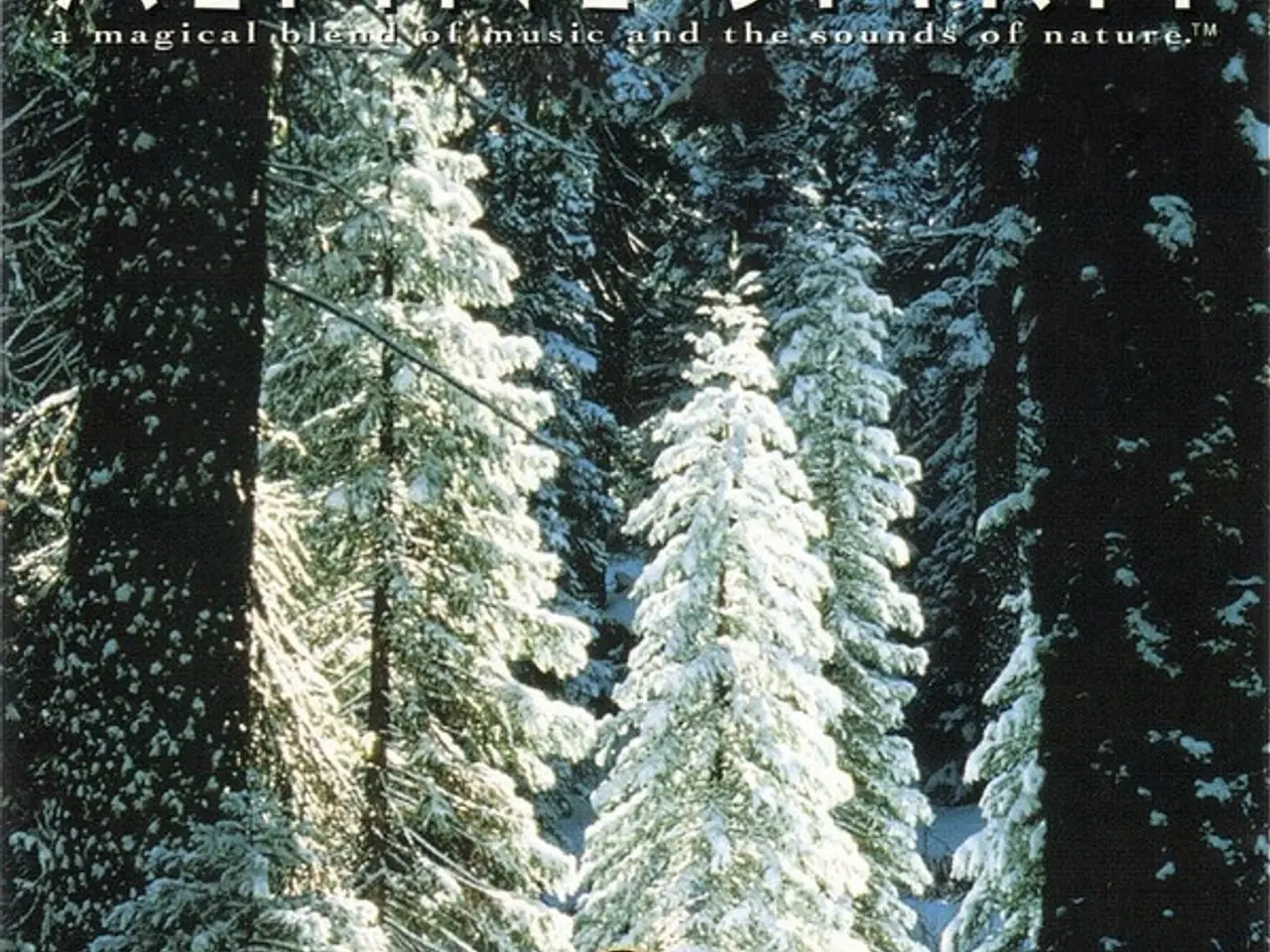 Billede 1 - Second Sight – Alpine Spirit – CD