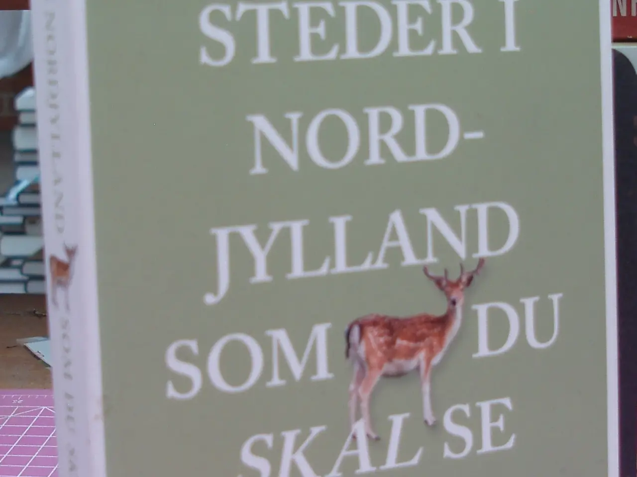 Billede 1 - 111 steder i Nordjylland som du skal se