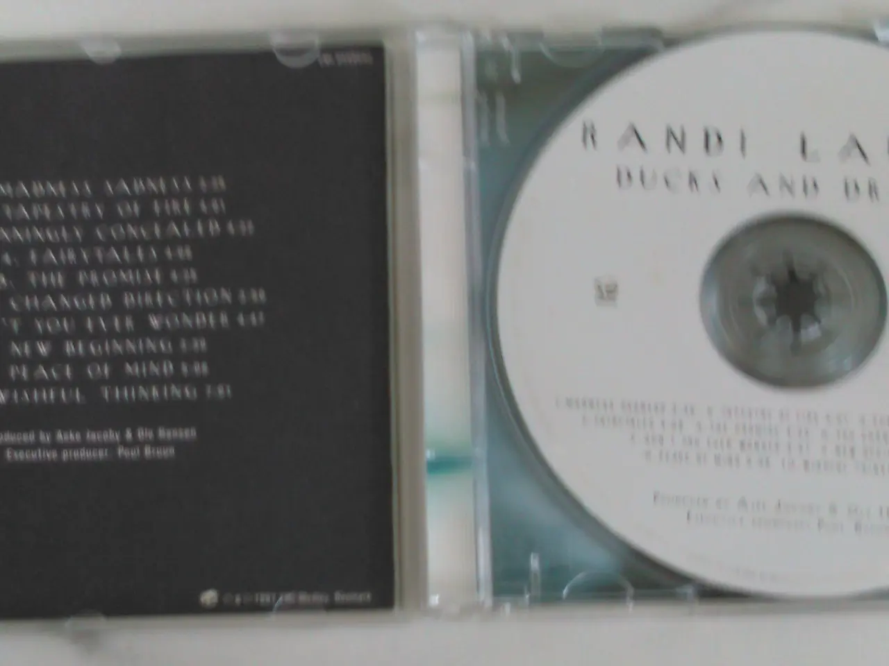 Billede 3 - Randi Laubek: Ducks and Drakes (1997