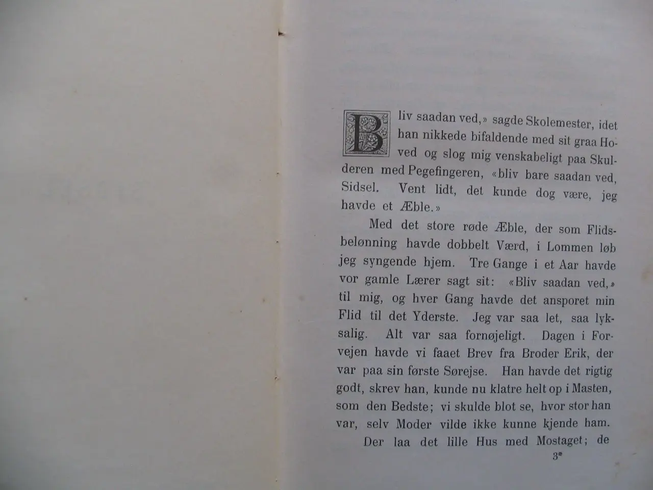 Billede 4 - Smaaskizzer, fra 1895