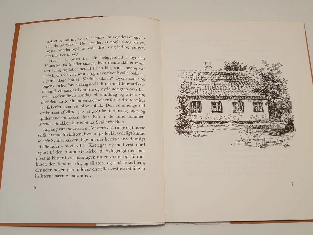 Billede 3 - Alex Secher: En have i skagen. Martins forlag 1976