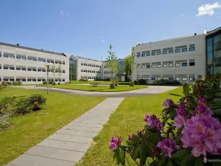 Kontorfællesskab ud til åbne grønne arealer