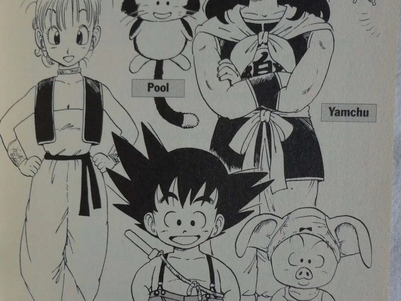 Billede 3 - DRAGON BALL :