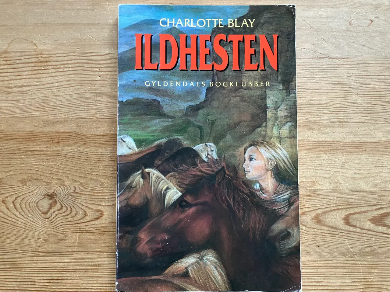 Billede 12 - Hestebøger, Annika, Vicki, Fuldblod m.fl.