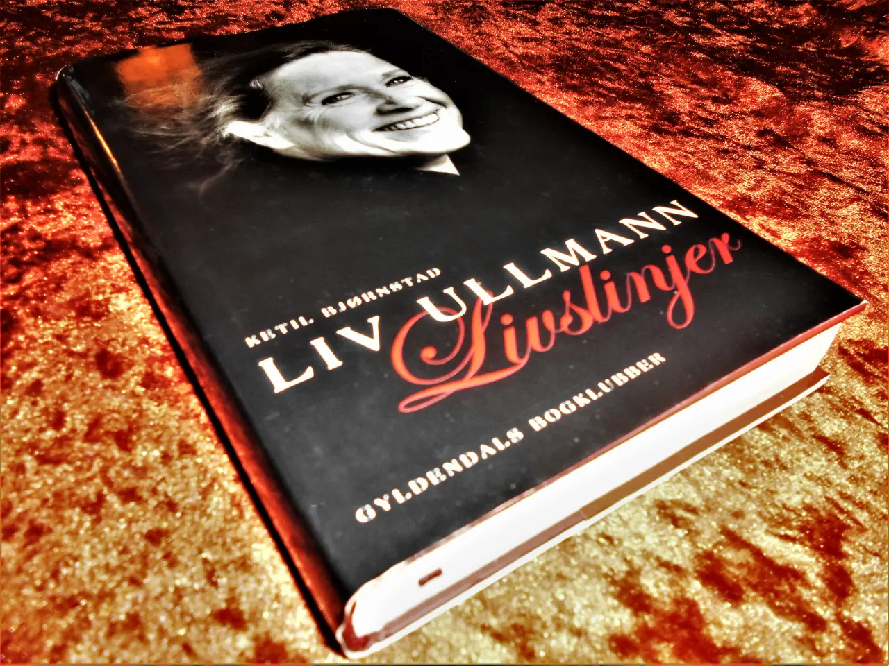 Billede 1 - Liv Ullman, livslinjer, Ketil Bjørnstad