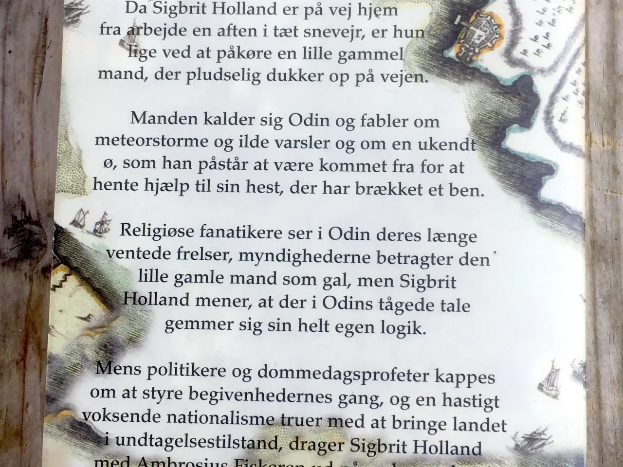Billede 2 - Odins ø, Janne Teller, genre: drama