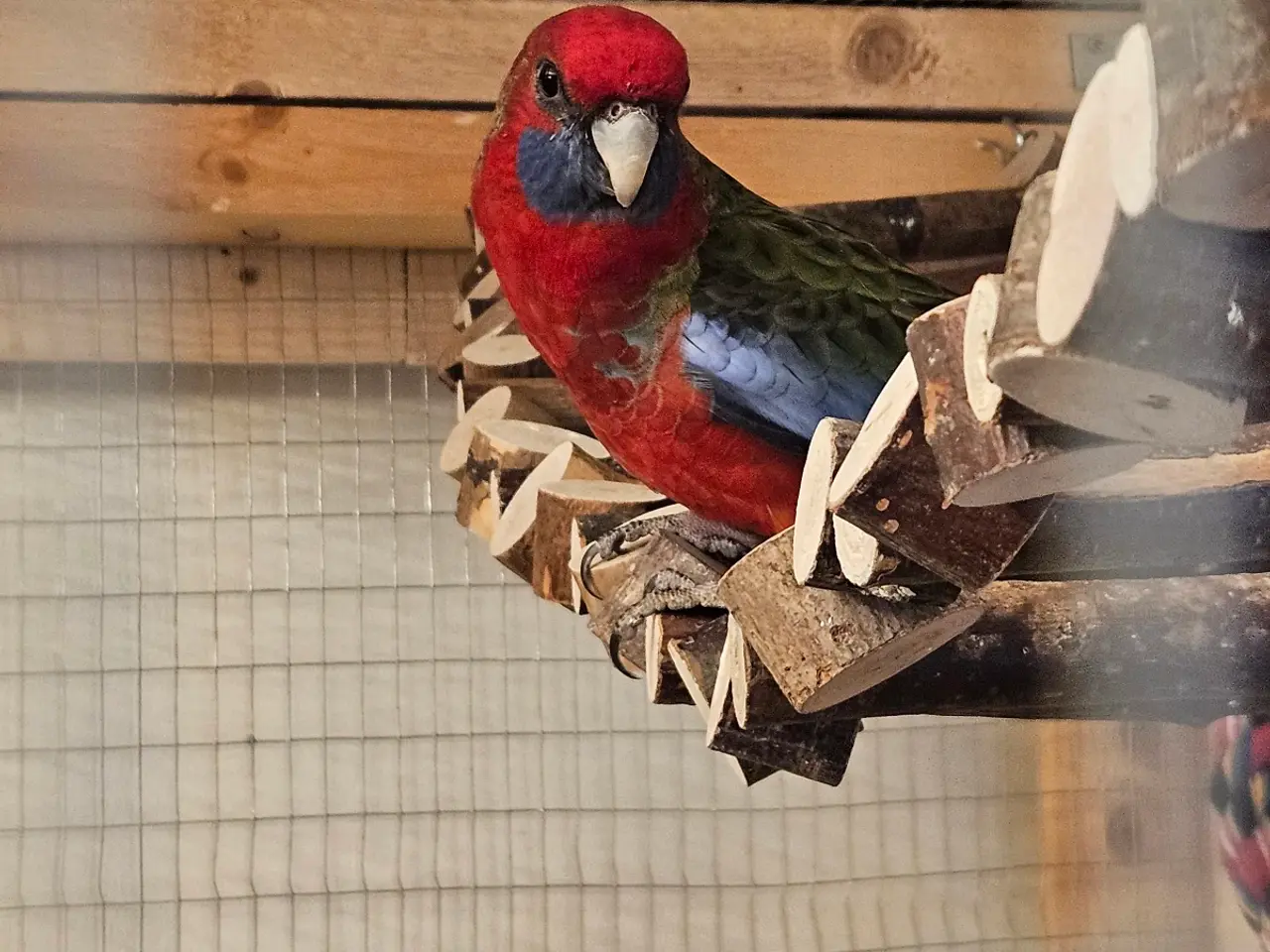 Billede 1 - Parkitter