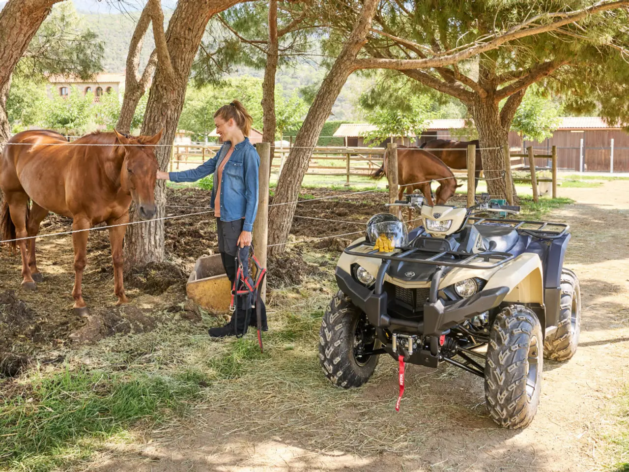 Billede 3 - Yamaha Kodiak 450 EPS SE
