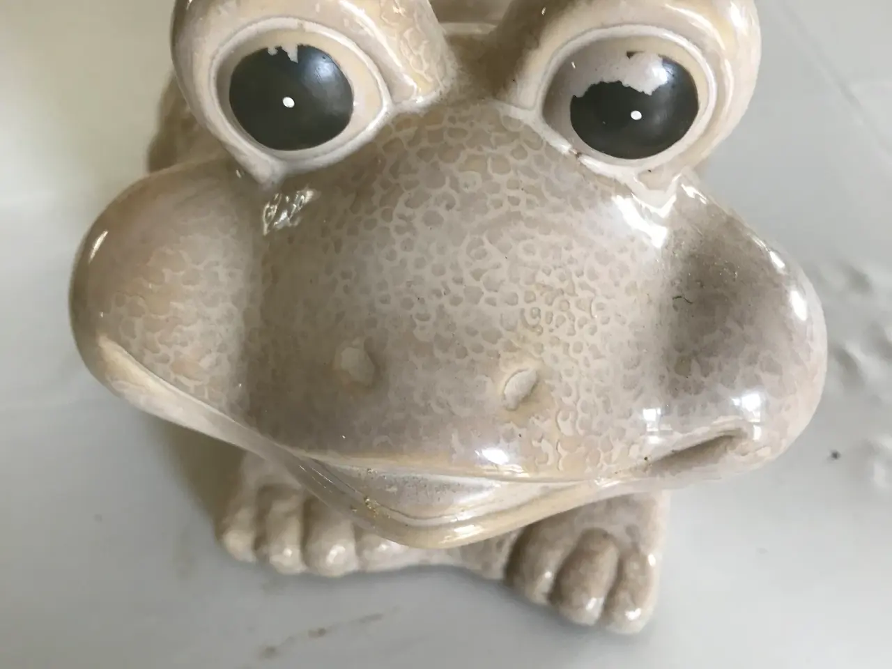 Billede 2 - Frø og skildpadde