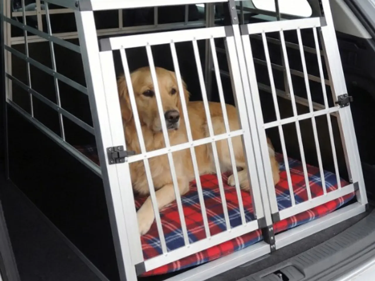 Billede 4 - Transport bur til hund