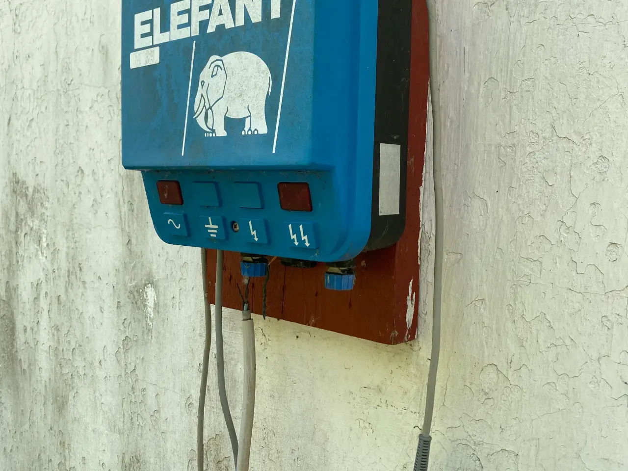 Billede 2 - Elhegn Elefant