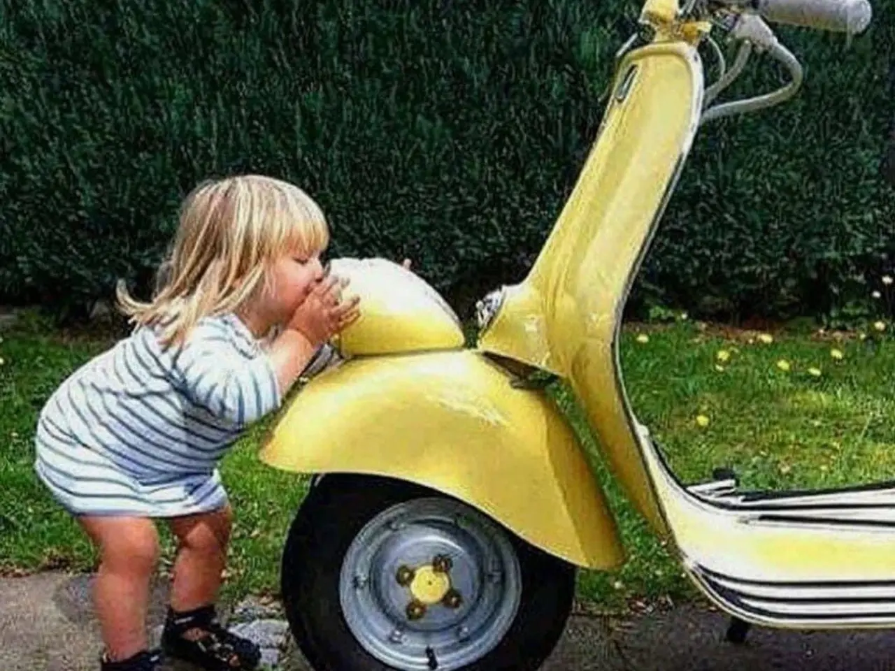 Billede 1 - Vespa søges