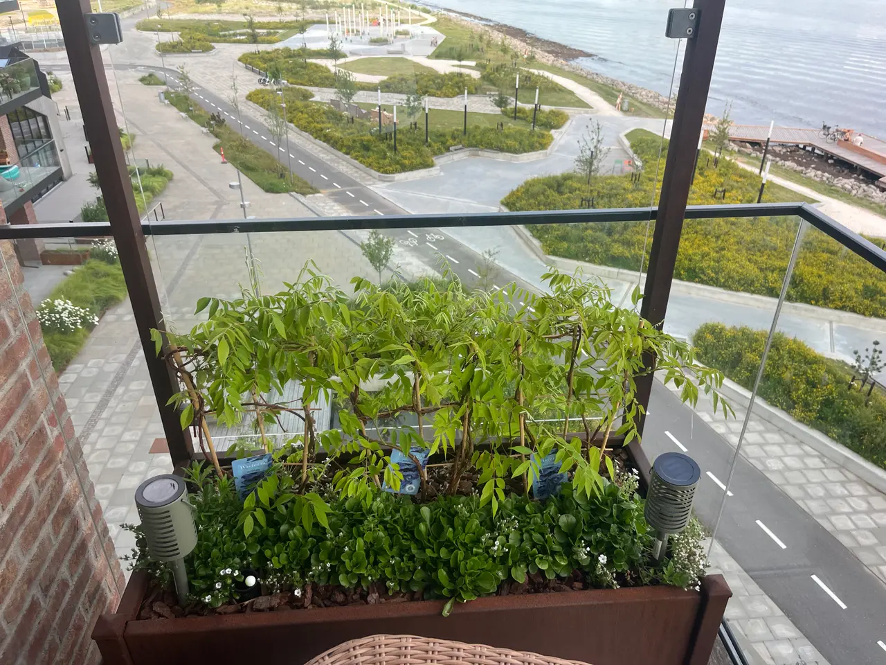 Billede 3 - Plantekasser i cortensstål med glas sælges