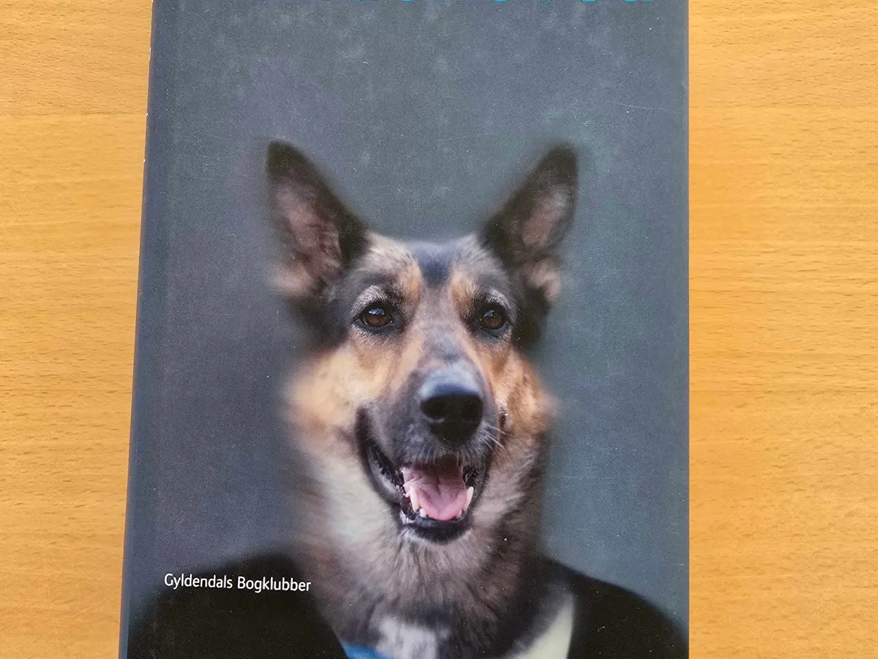 Billede 1 - Bog af Morten Ramsland - Hundehoved