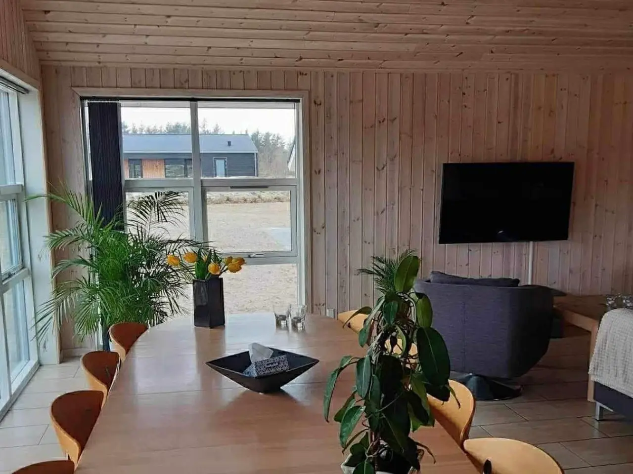 Billede 15 - Sommerhus udlejes …..hund tilladt