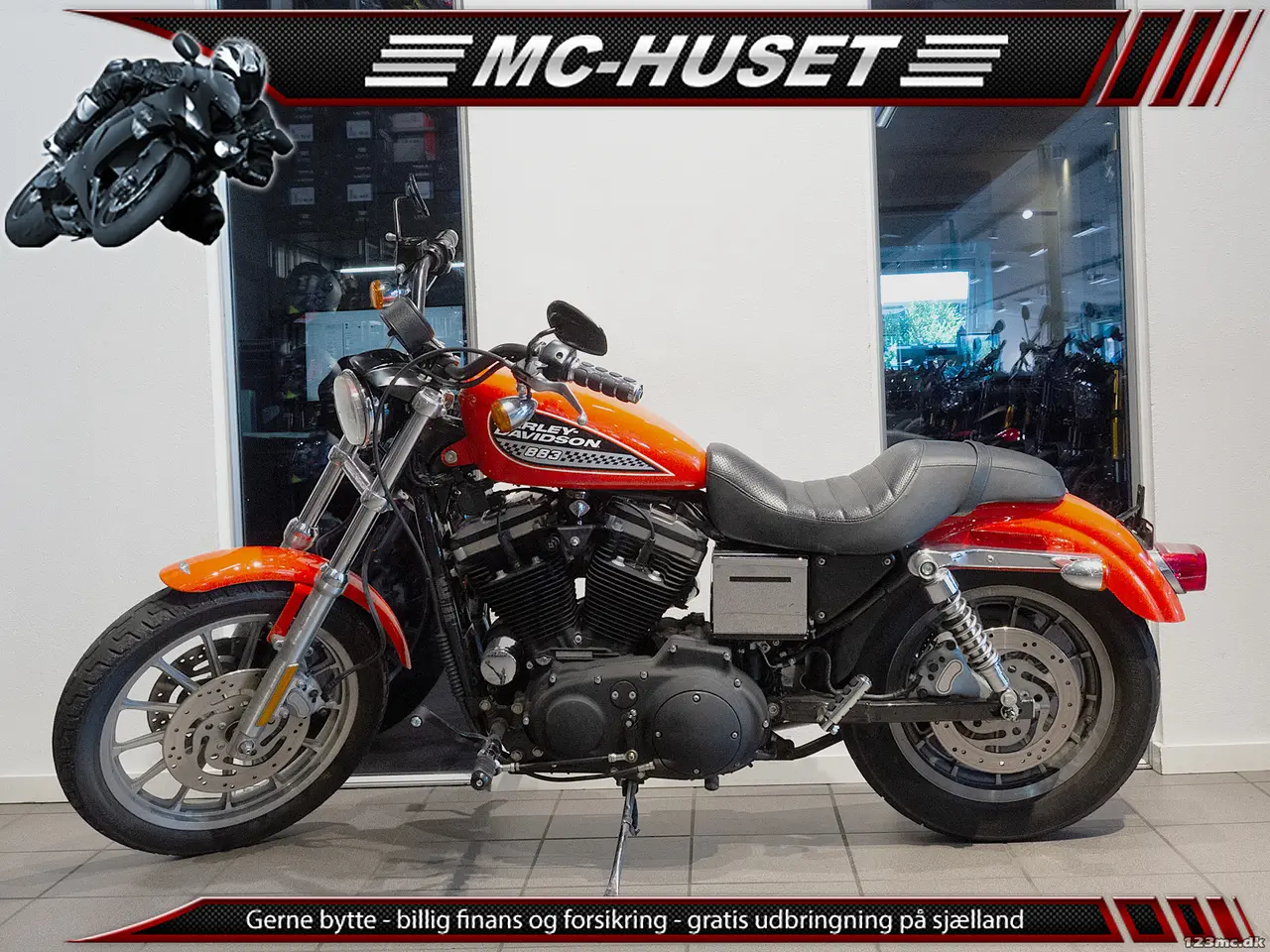 Billede 3 - Harley-Davidson XL883 Standard 100th Year Anniversary