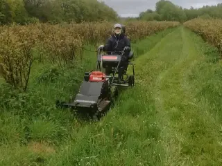Brakpudser