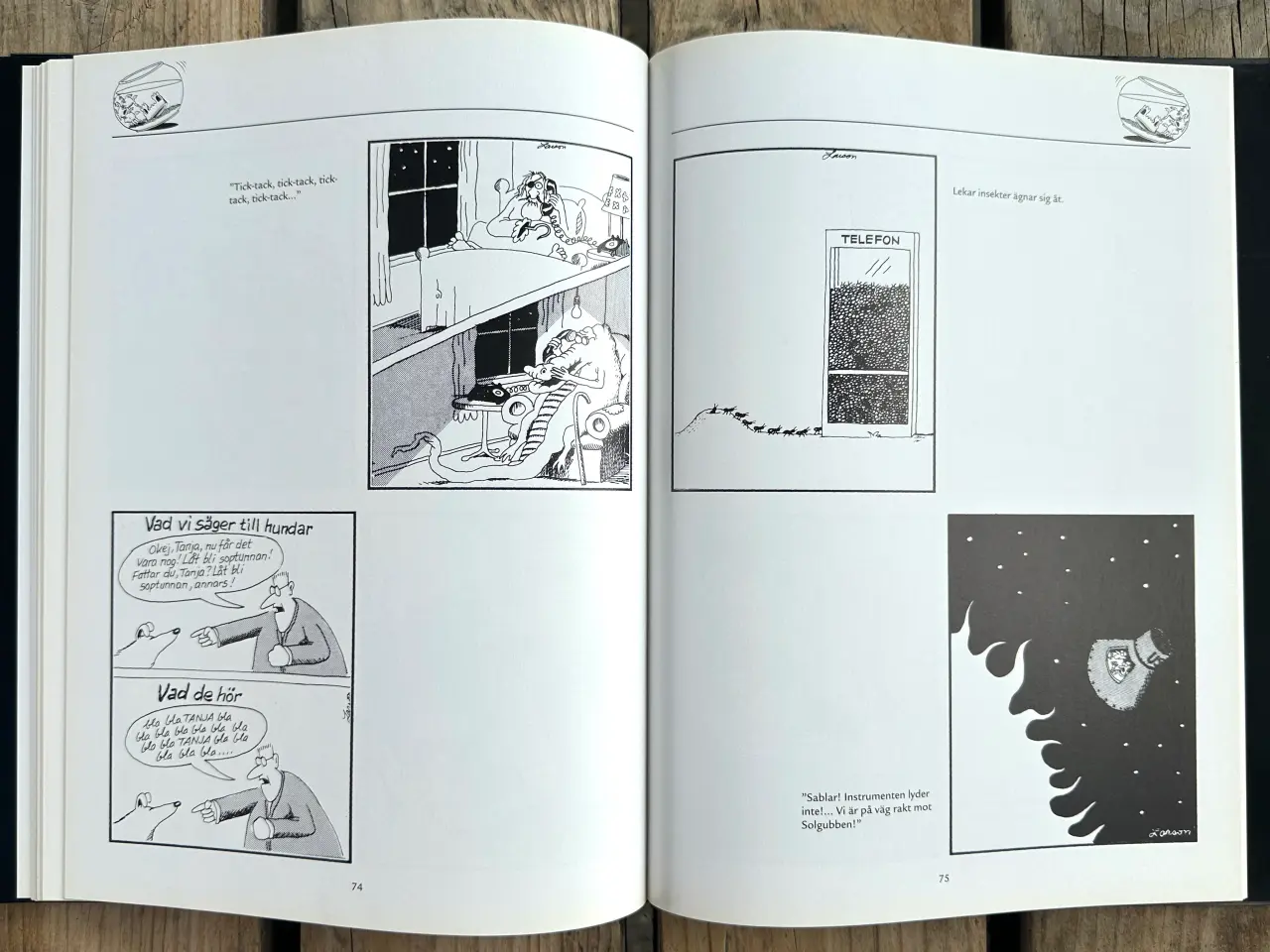 Billede 6 - På jakt efter den andra sidan – Gary Larson