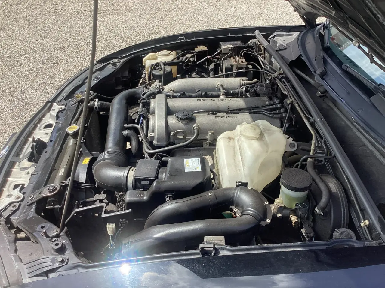 Billede 17 - Super Fin Mazda MX5. Sælges kun pga.flytning