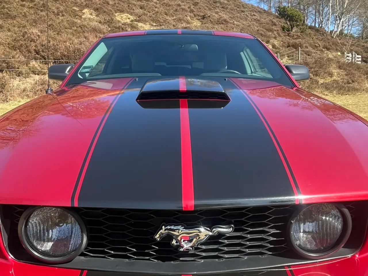 Billede 11 - Ford Mustang GT V8