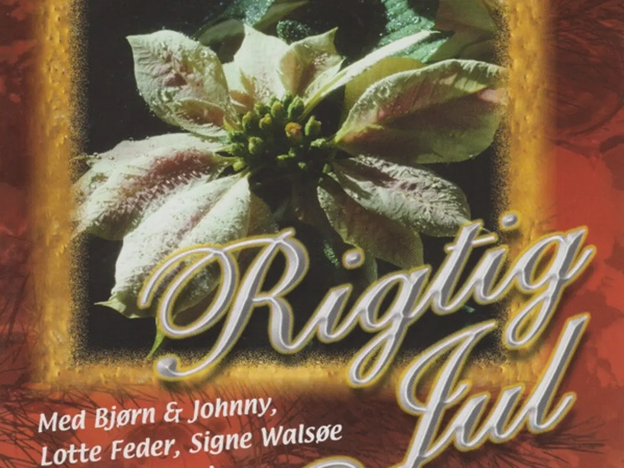 Billede 1 - Diverse kunstnere – Rigtig Jul – CD