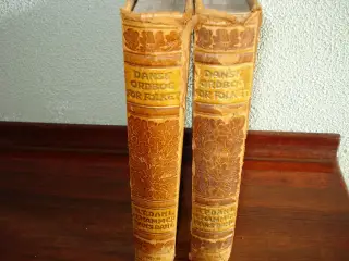 Dansk Ordbog For Folket 1907