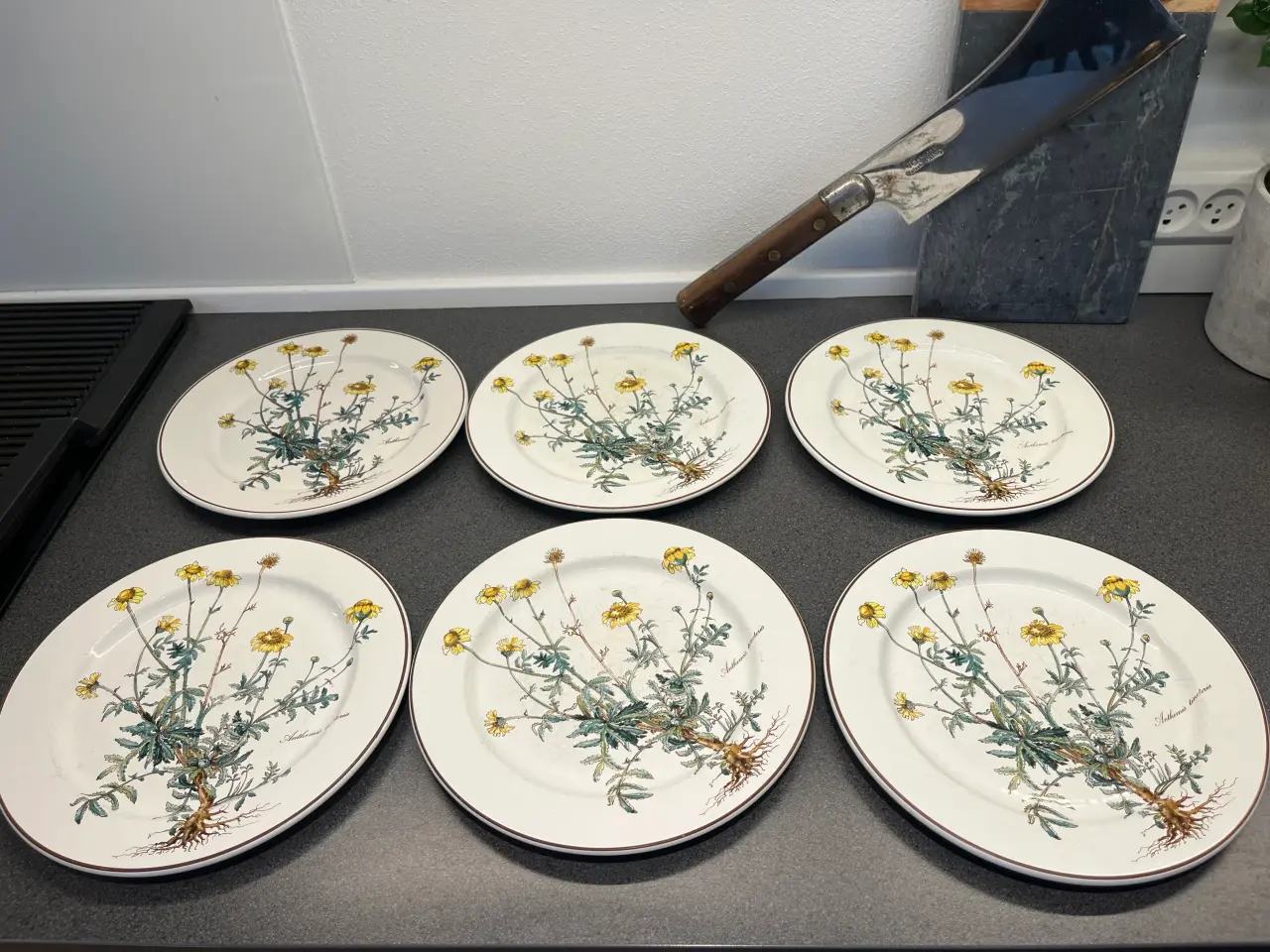 Billede 1 - Villeroy & Boch - Botanica 6 stk middagstallerkene