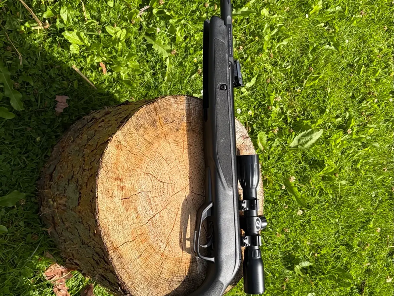 Billede 8 - Gamo - Black Bear Luftgevær