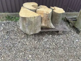 Træstubbe til bådpladsen