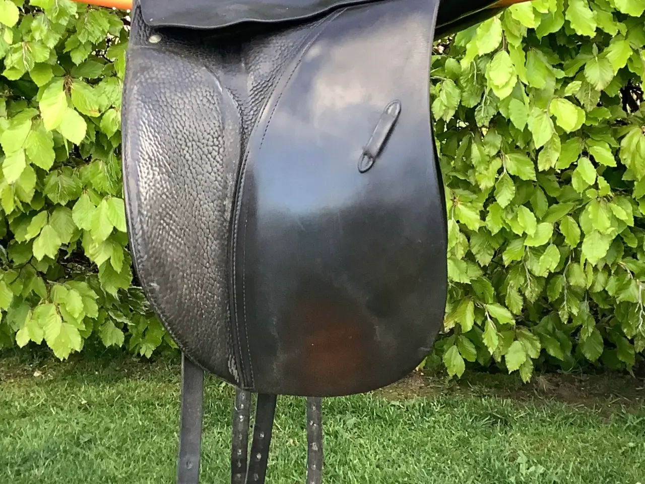 Billede 1 - Passier dr. Sadel 17”