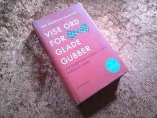 Vise ord for glade gubber, Dag Sebastian Ahlander