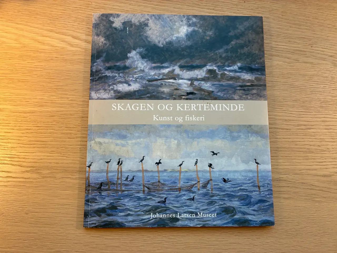 Billede 1 - Skagen og Kerteminde - Kunst og fiskeri