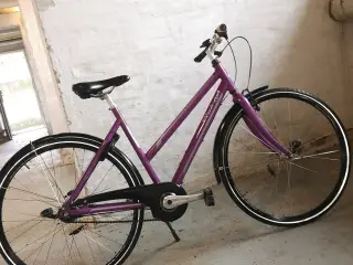 RALEIGH 28"  52cm lila  7 gear..  baglygter 