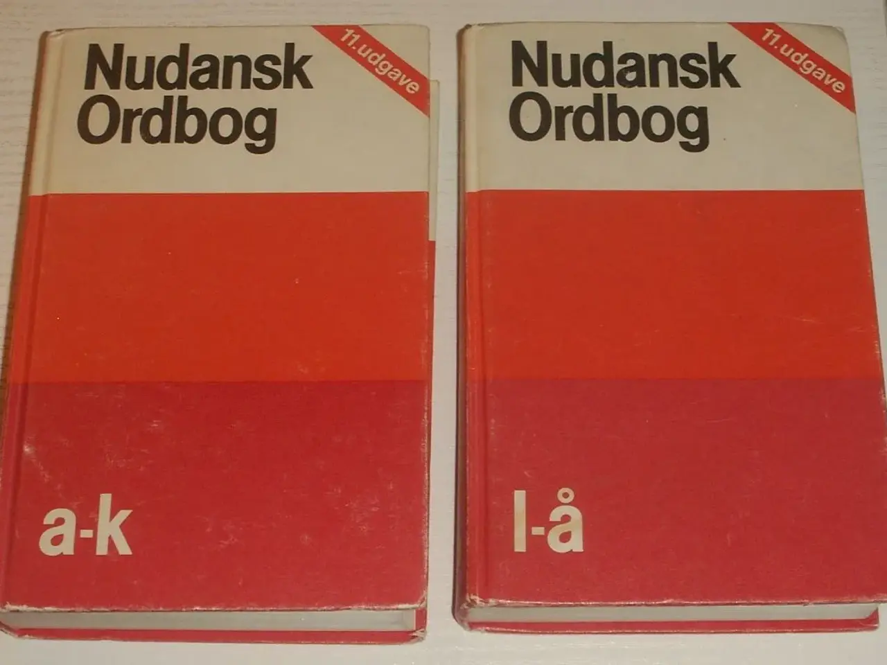Billede 1 - Nudansk Ordbog