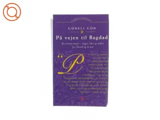 Vejen til Bagdad af Güneli Gün (bog)