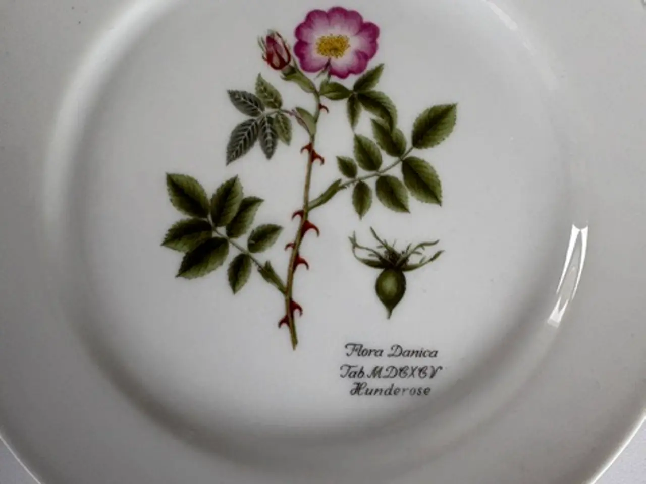 Billede 7 - 11 Flora Danica tallerkener med botaniske motiver