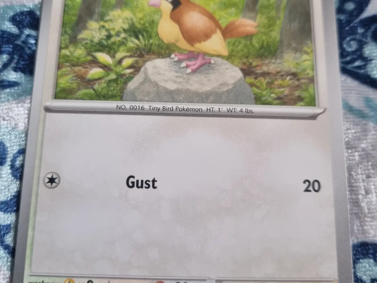 Billede 1 - Annonce 656 - Pokemon