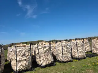 Sommertilbud på blandet løvtræ & ask/bøg